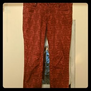 FP red textured jeans 27